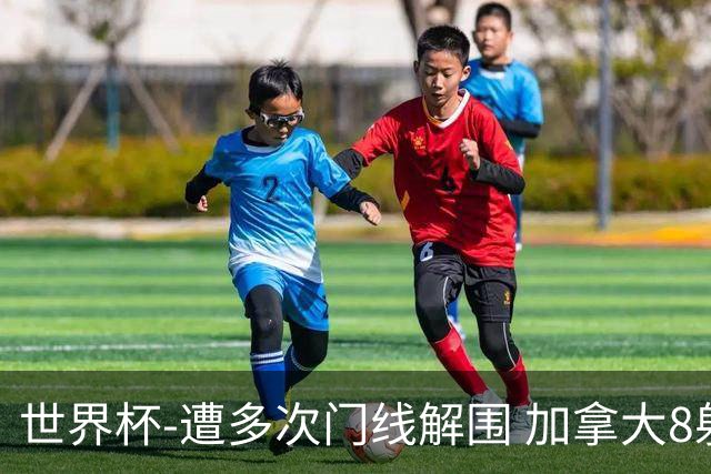 世界杯-遭多次门线解围 加拿大8射4正半场暂0-0南非