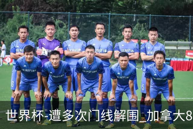 世界杯-遭多次门线解围 加拿大8射4正半场暂0-0南非